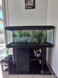 Acquario 120 litri + filtro Eheim Professionel 4+
