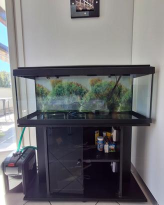 Acquario 120 litri + filtro Eheim Professionel 4+