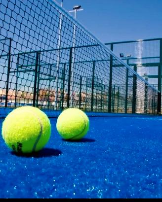 CAMPO DA PADEL USATO