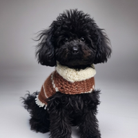 Barboncino minitoy per monta