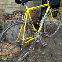 Bici da corsa vintage Olympia acciaio campagnolo 