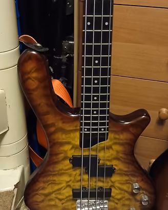 Washburn Taurus T14 basso elettrico