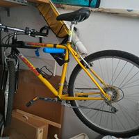 Mountain bike 28 Legnago