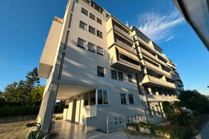 Appartamento con box e cantina