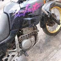 Dominetor dominator ricambi