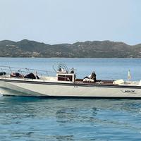 Boston Whaler 25