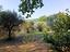 Immagine 16