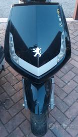 Peugeot Vivacity 50 : scudo faro forcella cerchio 