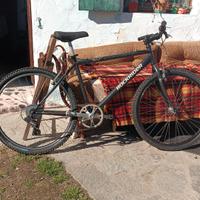 3 MTB in perfette condizioni appena revisionate