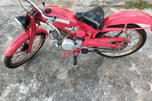 moto guzzi