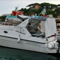 Azimut AZ 29