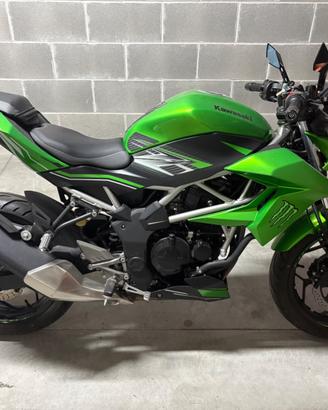 Kawasaki Z125 (2019) – Solo 7.800 km