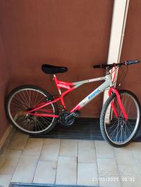 Monti bike
