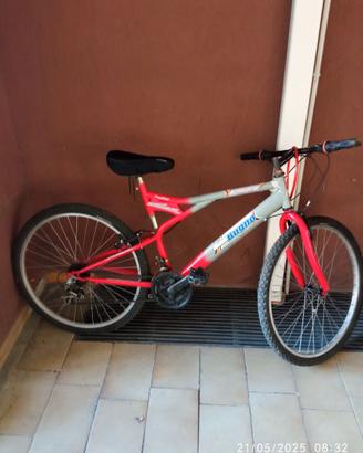 Monti bike