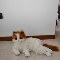 Gatto FurReal