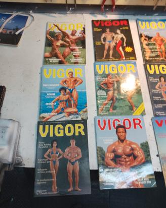 rivista Vigor bodybuilding anni 80