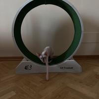 Ruota per gatti pvc smontabile senza attrezzi