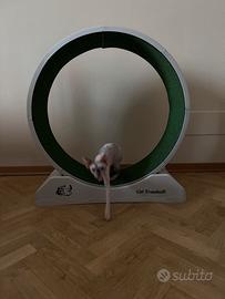 Ruota per gatti pvc smontabile senza attrezzi