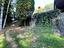 Immagine 24