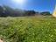 Immagine 17