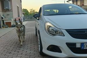 Opel Corsa 1.3 95cv