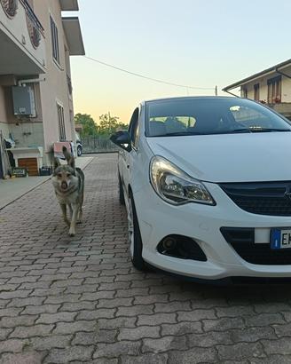 Opel Corsa 1.3 95cv