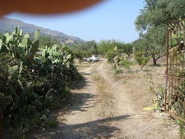 Terreno disponibile per eventi