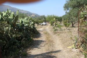 Terreno disponibile per eventi