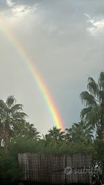 Terreno con rustico in cessione gratuita