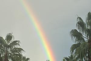 Terreno con rustico in cessione gratuita