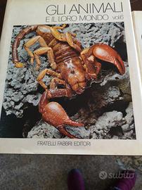 enciclopedia gli animali e il loro mondo 