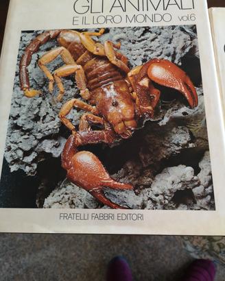 enciclopedia gli animali e il loro mondo 