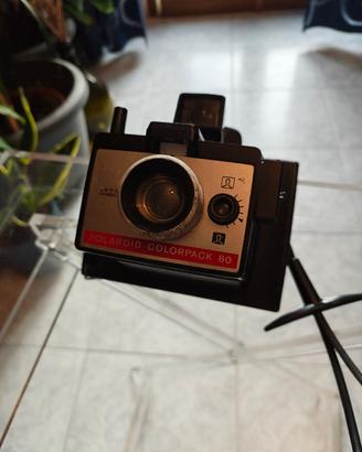 Polaroid 