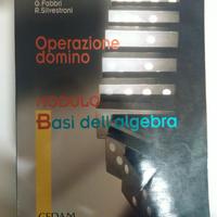 Basi dell'Algebra Mod.B Operazione Domino Ed.Cedam