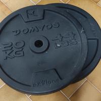 Dischi ghisa 20kg