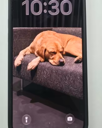 Apple iPhone 15 Pro Max 256GB Nero Batteria 98%