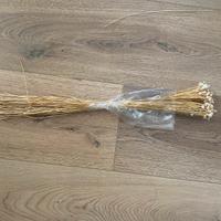 Fiori secchi - glixia