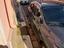 Immagine 2