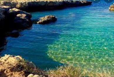 Ostuni Puglia Salento last-minute si animali