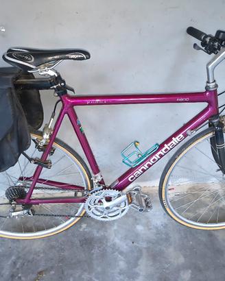 Bici corsa e city bike 