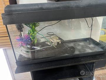 Acquario 100l