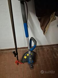 tagliabordi elettrico e forbicine troncarami