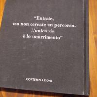 LIBRO IL MUSEO DELLA  FOLLIA 