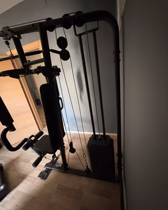Chest press