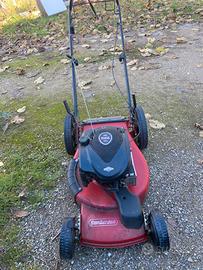Raserba bbriggs & stratton
