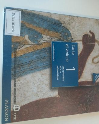 Libro L'arte di vedere 1 - Matteo Cadario