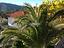 Immagine 13