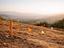 Immagine 10