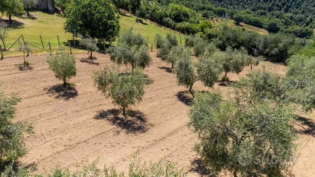 Terreno di 5330 m² a Salisano - Altro