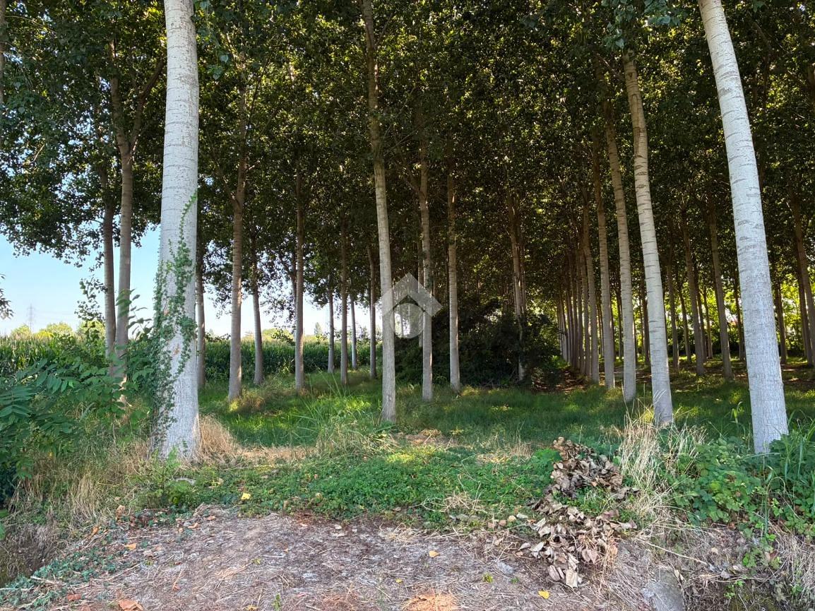 TER. AGRICOLO A CORBETTA - Vista 5